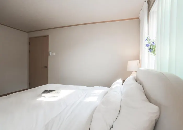 Mangwon Local Market 5mins, Hongdae, Airport Bus, Hanriver Park 10mins 10ppl, Big Family House 마포레스트