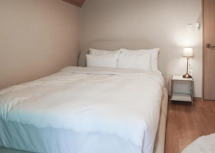 Mangwon Local Market 5mins, Hongdae, Airport Bus, Hanriver Park 10mins 10ppl, Big Family House 마포레스트 別墅 *
